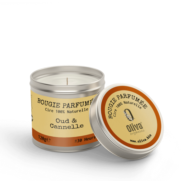 Oud Cannelle